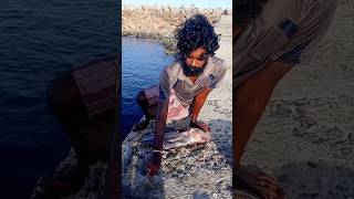 Young Man Using Big Fish to Catch Variety Fishes fishing fishingvideos thoondilulagam seafishing [upl. by Bina]