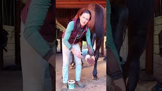 How to Pack a Horses Foot  Hoof without Wrapping it  Horsemanship 101  Tall Tale Equestrian [upl. by Delanos]