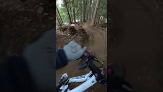 Worlds best Mountain Bike corners mountainbiking mtb whistler [upl. by Niar831]