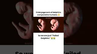 What is embryogenesis Embryogenesis Embryo embryology  Embryogenesis science [upl. by Htidra]