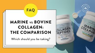 Marine Collagen Vs Bovine Collagen What’s the BEST for you [upl. by Craw476]