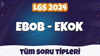 Ebob Ekok  Tüm SORU TİPLERİ  LGS 2024 [upl. by Birk525]