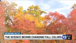 The science behind changing fall colors [upl. by Aisanahta243]