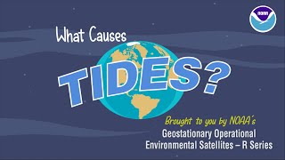 What Causes Tides [upl. by Mercola]