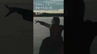 宇多田ヒカル「何色でもない花」 Music Video公開中 Shorts [upl. by Georgie]