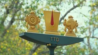 Tirupati  sri venkateswara swamy  4k WhatsApp status  Kvk YouTube [upl. by Rem]