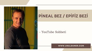 Pineal Bez  Epifiz Bezi [upl. by Anirbed]