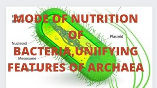 MODE OF NUTRITION OF BACTERIAUNIFYING FEATURES OF ARCHAEA [upl. by Townshend]