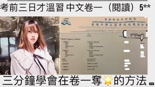 ［2024 DSE必看2 ］中文卷一從學校考試不合格到dse5｜三分鐘學會最高效做閱讀卷的方法｜dse 文憑試 中文 [upl. by Ferris]