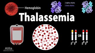 Thalassemia Alpha amp BetaThalassemias Genetics Pathophysiology Diagnosis amp Treatment Animation [upl. by Acacia]