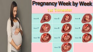 pregnancy week by week  Lifecycle of baby in womb from 1 till 13 week  First Trimester  Vitals [upl. by Ruperto]