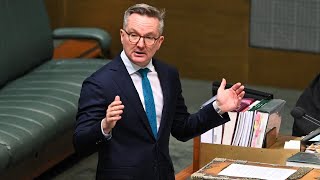 ‘Lying to the Australian people’ Chris Bowen blasted over ‘expensive’ renewables push [upl. by Argyres]