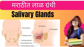 Salivary Glands l Digestion l Biology l LN Education l [upl. by Sethi]