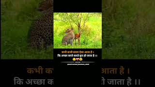 मेरे सिवा कोई ओर ना ले जाए प्रतिभावान 😢😌shortsvideo motivation uspr Badgoti [upl. by Postman476]