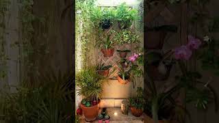 Best landscaping ideashome decorindoorplantsgardening trendingviralvideo shortslandscaping [upl. by Rolland]