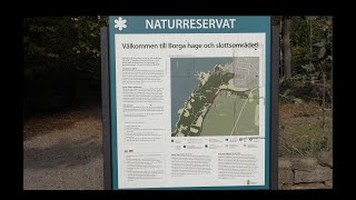 Borga hage naturreservat Borgholm 19 oktober 2024 [upl. by Eirameinna]