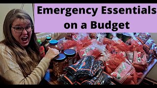 20 Extremely Important Essentials to Stockpile on A Budget [upl. by Necyla]