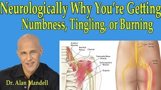 Neurologically Why Youre Getting NumbnessTingling or Burning in Arms or Legs  Dr Mandell [upl. by Goodhen]