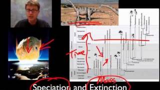 Unit 2 Review  Speciation [upl. by Shaylyn858]