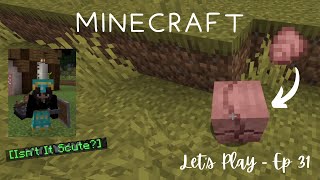 Armadillo Scutes │ Minecraft Lets Play  Ep 31 ♡ [upl. by Podvin]