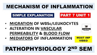 Inflammation  Mechanism Of Inflammation  Mediators Of Inflammation  Ch 3 U 1  Pathophysiology [upl. by Suedama]