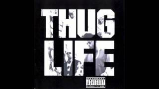 2Pac  Thug Life  Stay True [upl. by Eisak]