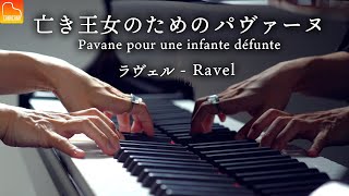 亡き王女のためのパヴァーヌ  ラヴェル《楽譜あり》Ravel quotPavane pour une infante défuntequot クラシックピアノ  Piano CANACANA [upl. by Jelena194]