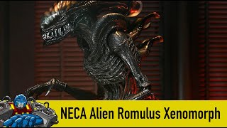 NECA Alien Romulus Xenomorph amp Accessories [upl. by Araic760]