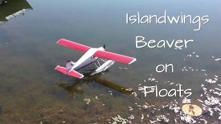 Island Wings Beaver on Floats [upl. by Aisemaj]