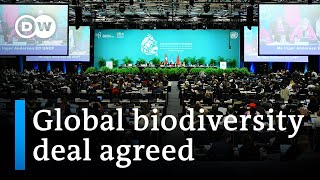 UN conference reaches historic biodiversity deal  DW News [upl. by Adnerol]