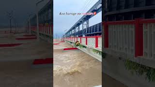 Bihar Red Alart Kosi Barrage 😱  short Video [upl. by Zindman154]