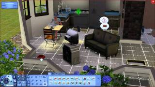 Lets Play Die Sims 3 Einfach Tierisch 004 Einzug in ein neues Leben [upl. by Manno347]