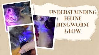 Understanding Feline Ringworm Glow [upl. by Ramberg]