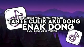 DJ TANTE CULIK AKU DONG X ENAK DONG SLOWED REVERB [upl. by Llennyl]