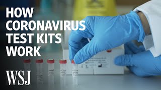 How Coronavirus Test Kits Work  WSJ [upl. by Alla990]