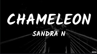 Sandra N  Chameleon Lyrics Video [upl. by Tranquada]