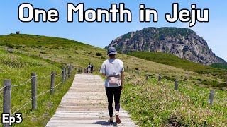 Hiking Hallasan Yeongsil Course Donnaeko Valley and Pyoseon Beach  Ep 3 One Month in Jeju [upl. by Hegyera]