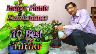 इंडोर प्लांट्स ग्रो करने के १० जरूरी टिप्स जानिए  10 Important tips for indoor Plants [upl. by Lamp932]