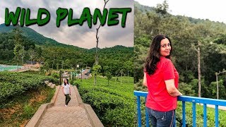 WILD PLANET Resort Devala  Luxury Jungle Resort in India [upl. by Burhans]