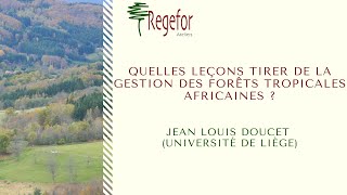 Quelles leçons tirer de la gestion des forêts tropicales africaines [upl. by Hidie]