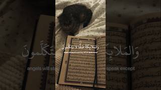 sorah Al Nabaa Abdel Rahaman masud islamic quranyoutubeshortsvideoviralvideo [upl. by Thalia961]