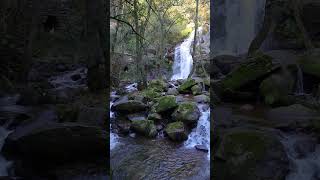 Cascata da Cabreira  Natural Life [upl. by Nemrak218]