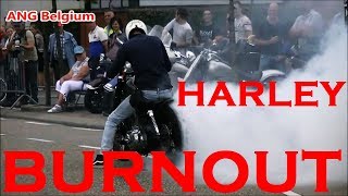 HARLEY DAVIDSON BURNOUT IN BELGIUM [upl. by Zeuqram]