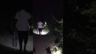 Night patrolling in jungle nature love love whatsappstatus [upl. by Edette394]