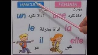 Masculin et féminin للمبتدئين تعلم الفرق بين المذكر والمؤنث باللغة الفرنسية [upl. by Anivlek]