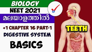 NEET  Digestive System  Basics and Teeth  Part 1  Biology NEET 2021  NEET Master Malayalam [upl. by Eillib209]