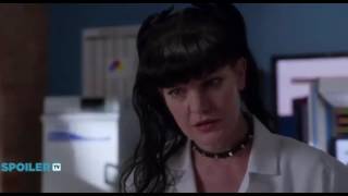 NCIS S14x19 The Wall  Sneak Peek 1 [upl. by Snilloc596]