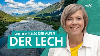 Der Lech von Österreich bis Bayern  Der letzte wilde Fluss der Alpen  ARD Reisen [upl. by Radburn]