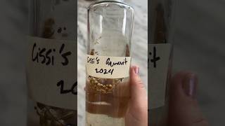 Homemade Aquavit  simple easy fun [upl. by Lucias]