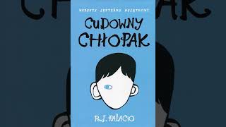 Cudowny Chłopak  audiobook [upl. by Yvon]